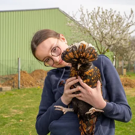 Insolites A La Ferme - Yourte, Kota Ou Pod Farbus