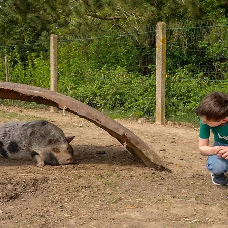 Vakantiehuis Insolites A La Ferme - Yourte, Kota Ou Pod *