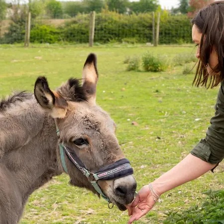 Insolites A La Ferme - Yourte, Kota Ou Pod Vakantiehuis *
