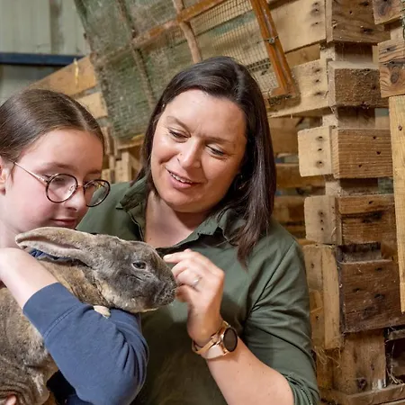 Insolites A La Ferme - Yourte, Kota Ou Pod *