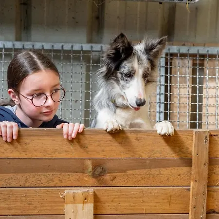 Insolites A La Ferme - Yourte, Kota Ou Pod